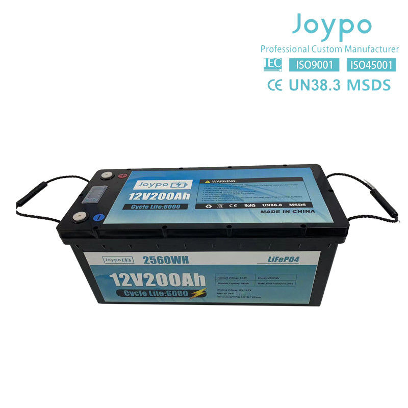 RV Camper Long Life LFP Lifepo4 Batteria 12V 24V 100Ah 200Ah Con Smart BMS